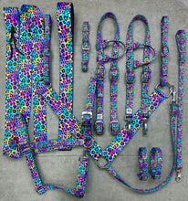 Load image into Gallery viewer, Rainbow Cheetah Tack