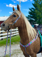 Load image into Gallery viewer, Rainbow Cheetah Tack