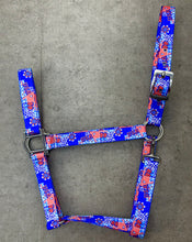 Load image into Gallery viewer, American Dream Tack