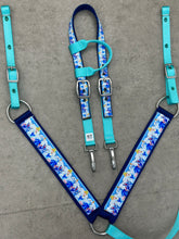 Load image into Gallery viewer, Cinderella Tack Set