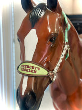 Load image into Gallery viewer, Sassy Saying Bronc Halters
