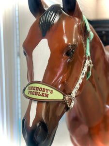 Sassy Saying Bronc Halters