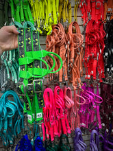 Load image into Gallery viewer, Limited Edition Headstalls