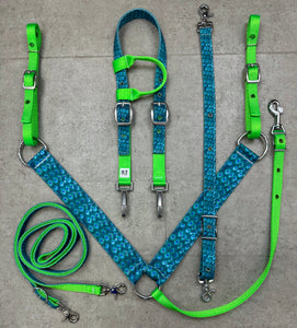 Peacock Tack Bundle