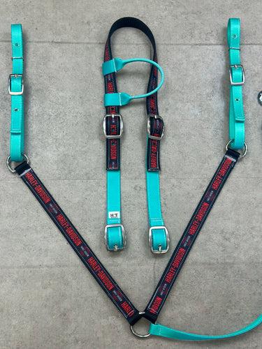 Harley and Teal Tack Set