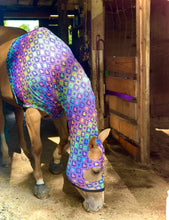 Load image into Gallery viewer, Wild Card Lycra Hood