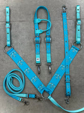Load image into Gallery viewer, Thunderbird Tack Sets