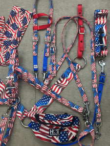 American Flag Tack Bundle