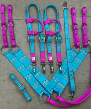 Load image into Gallery viewer, Thunderbird Tack Sets