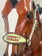 Load image into Gallery viewer, Sassy Saying Bronc Halters