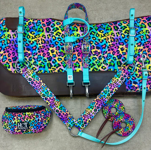 Rainbow Cheetah and Ice Blue Tack Bundle