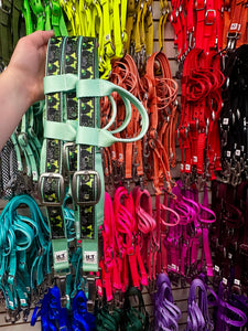Limited Edition Headstalls
