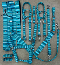 Load image into Gallery viewer, Teal Serape Tack