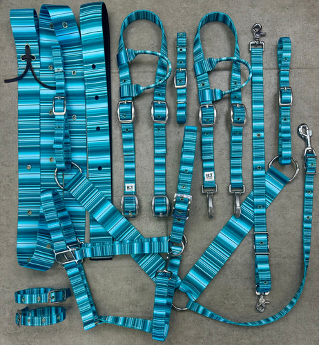 Teal Serape Tack