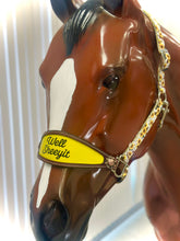 Load image into Gallery viewer, Sassy Saying Bronc Halters