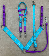 Load image into Gallery viewer, Thunderbird Tack Sets