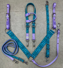 Load image into Gallery viewer, Peacock Tack Bundle