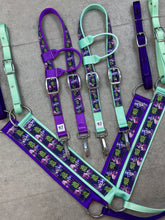 Load image into Gallery viewer, Limited Edition Halloween Tack Sets