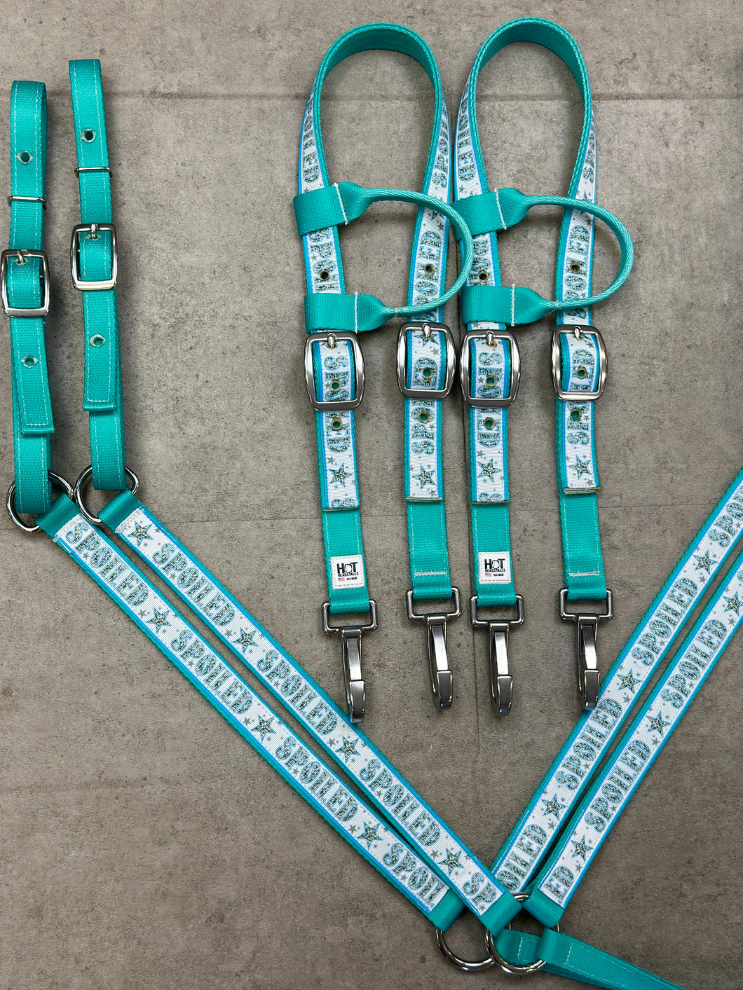 Spoiled Headstall and Breastcollar Set