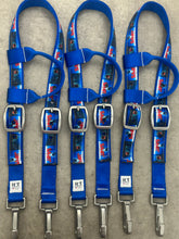Load image into Gallery viewer, Limited Edition Headstalls