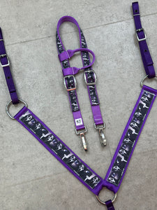 Limited Edition Halloween Tack Sets