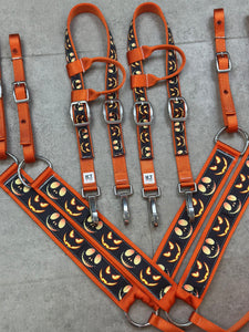 Limited Edition Halloween Tack Sets