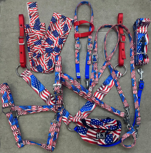 American Flag Tack Bundle