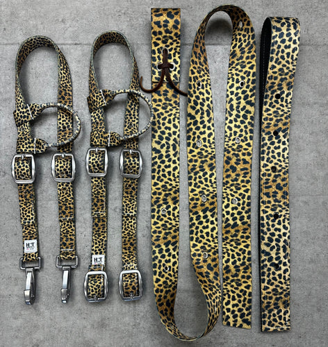Cheetah Tack