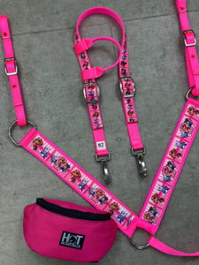 Paw Patrol Tack Set