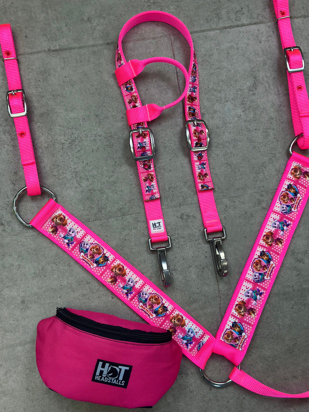Paw Patrol Tack Set