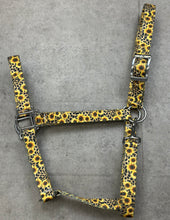 Load image into Gallery viewer, Cheetah Sunflower Tack