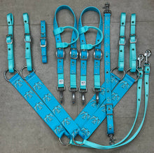 Load image into Gallery viewer, Thunderbird Tack Sets