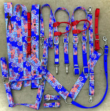 Load image into Gallery viewer, American Dream Tack