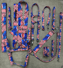 Load image into Gallery viewer, American Flag Tack