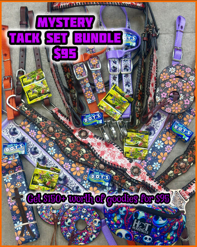 Mystery Halloween Tack Set Bundle