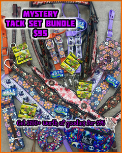 Mystery Halloween Tack Set Bundle