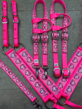 Load image into Gallery viewer, Limited Edition Valentine Character Tack