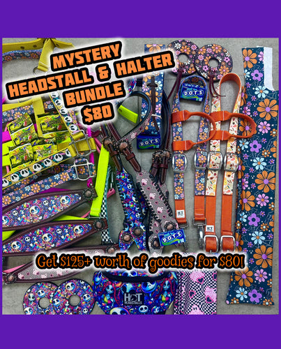 Mystery Halloween Halter and Headstall Bundle