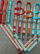 Load image into Gallery viewer, Dino Tack Sets