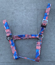 Load image into Gallery viewer, American Flag Tack