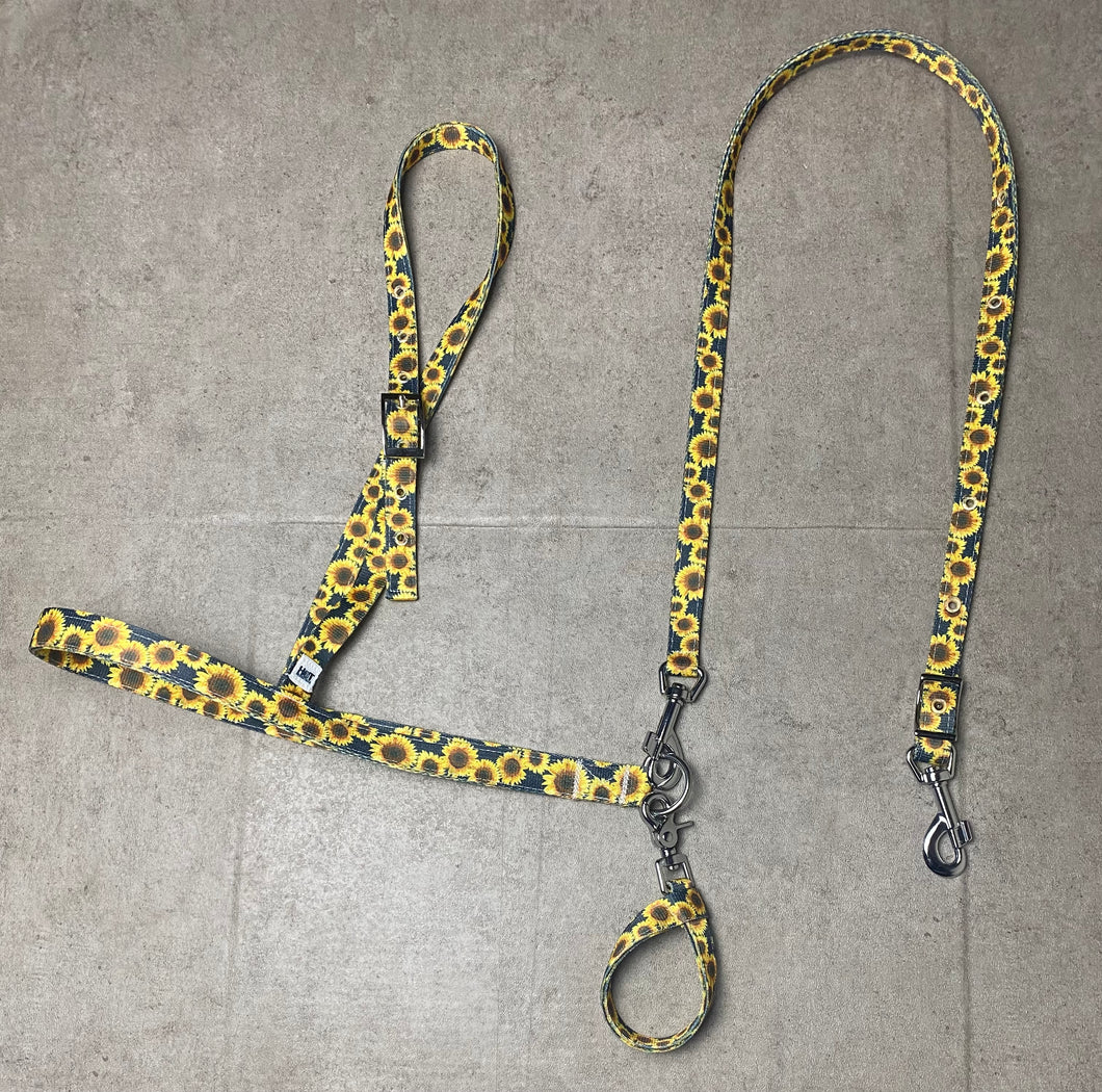 Black Sunflower Tack