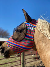 Load image into Gallery viewer, Serape Fly Mask
