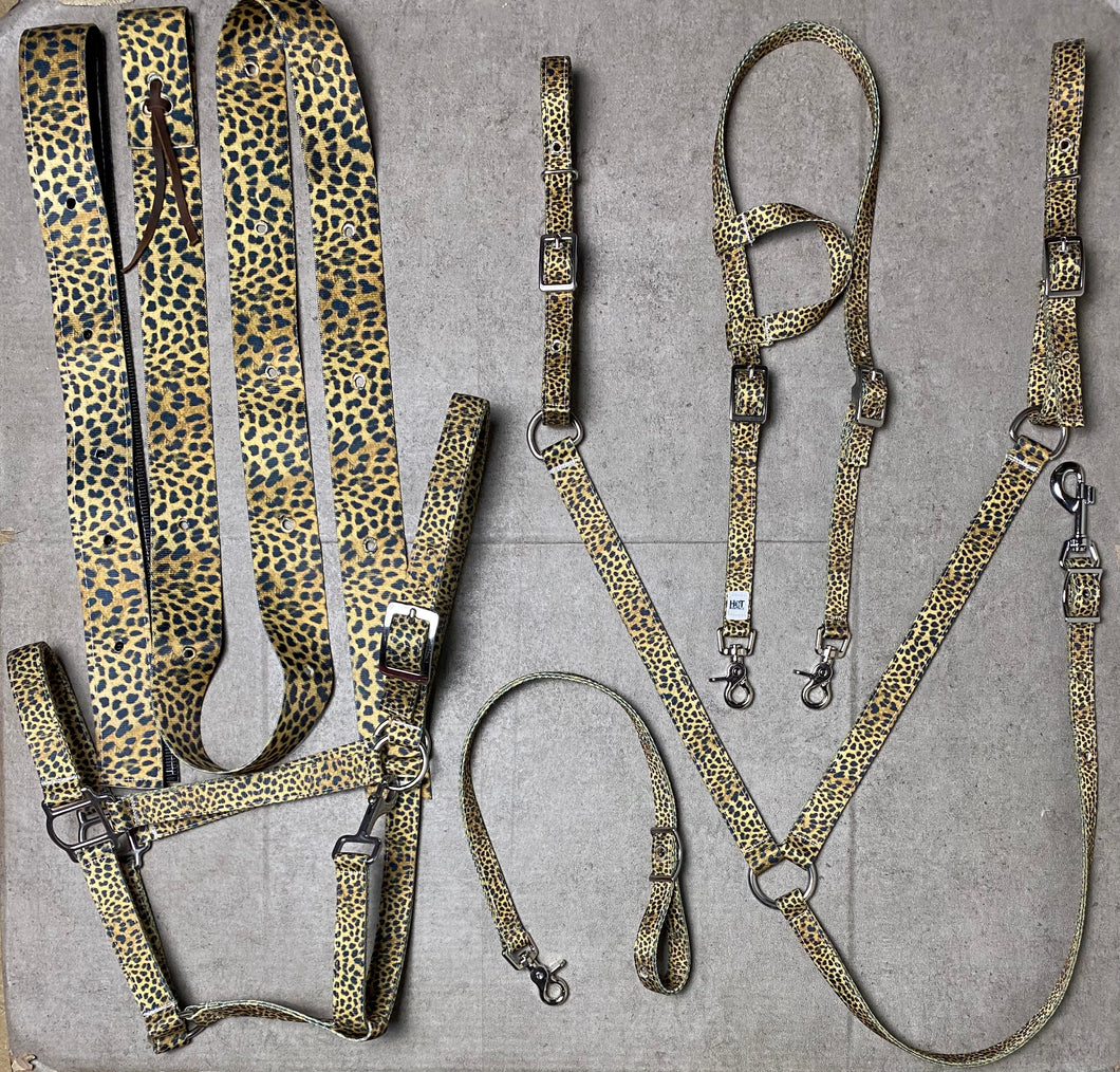 Cheetah Tack